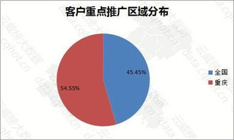 智汇山城，数领未来 重庆信息服务行业优秀案例深度解析（第223期）